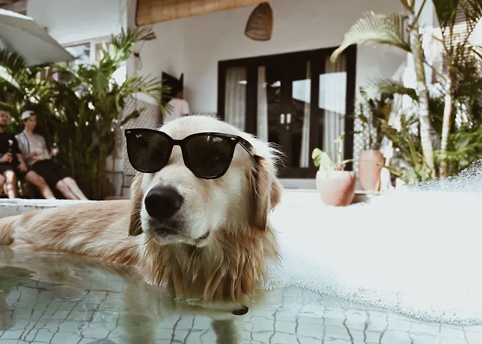 Clandestino CangguHostel